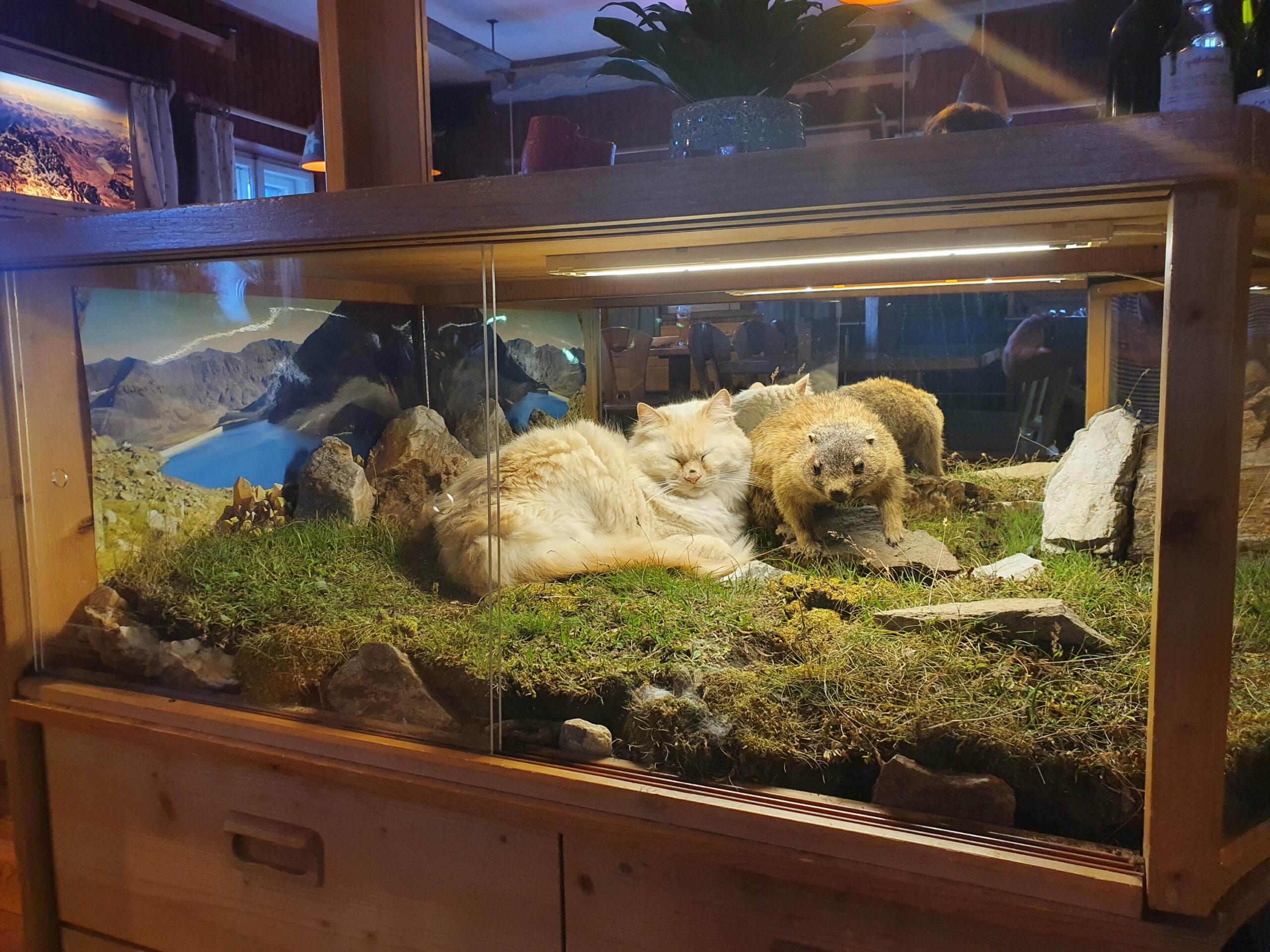 Mehr über den Artikel erfahren 37 St. Walburg im Ultental – Höchster Hütte