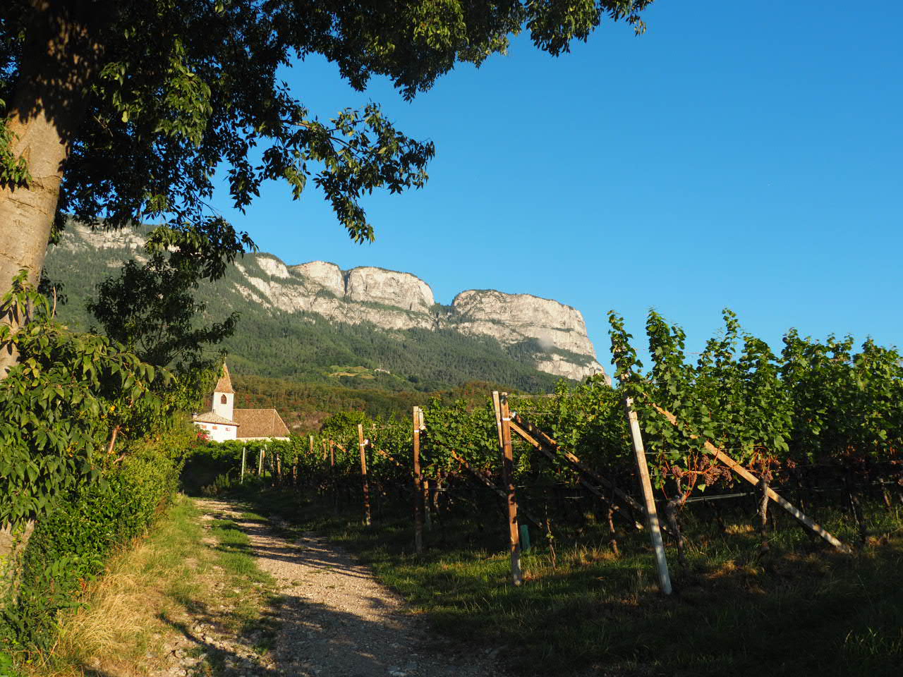 Mehr über den Artikel erfahren 35 Eppan St. Pauls – Unsere Liebe Frau im Walde St. Felix