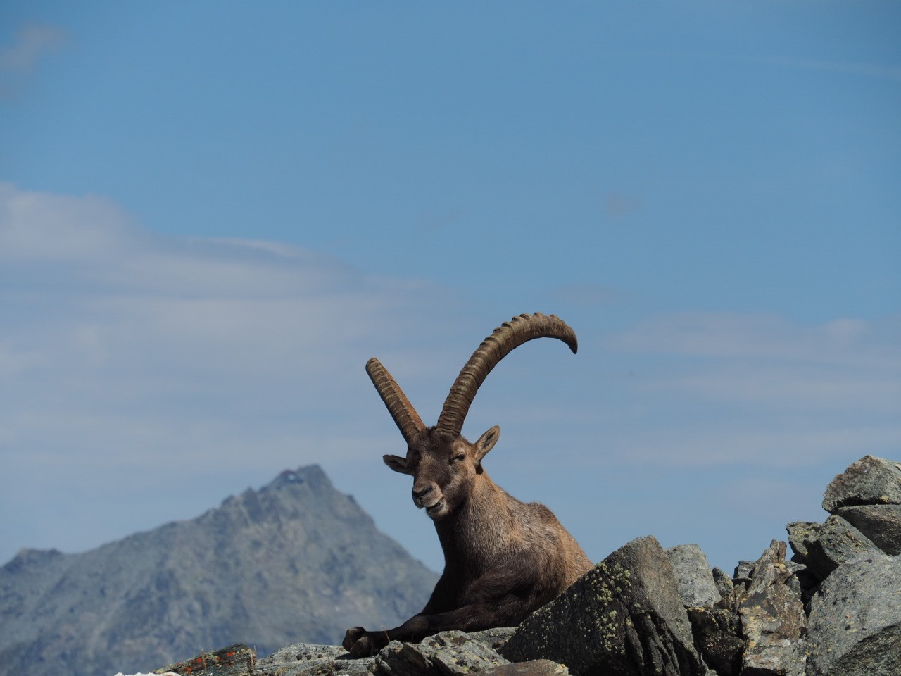 Mehr über den Artikel erfahren 74 Mauvoisin – Cabane Brunet