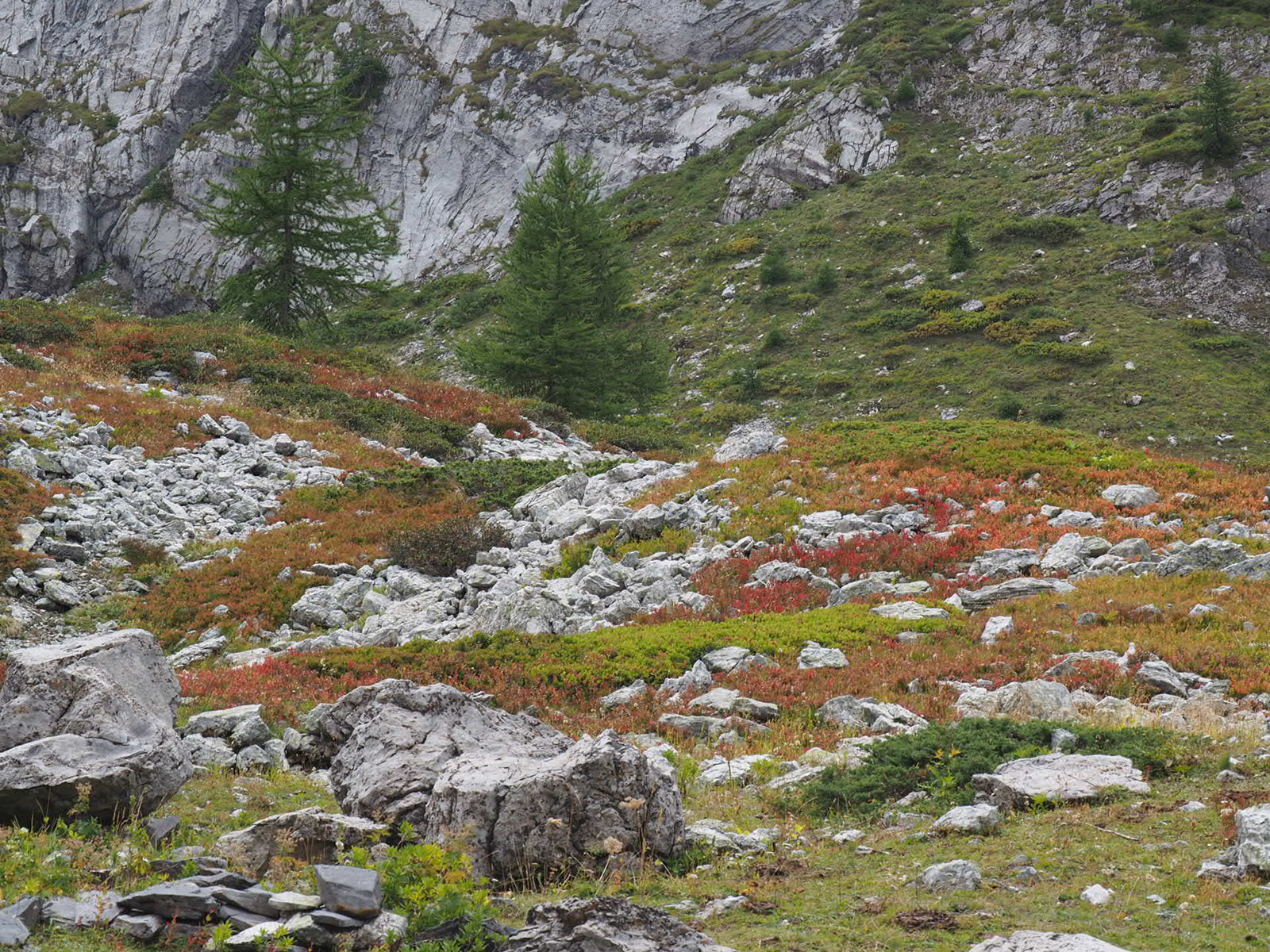 Mehr über den Artikel erfahren 100 Rifugio Gardetta – Rifugio Fauniera