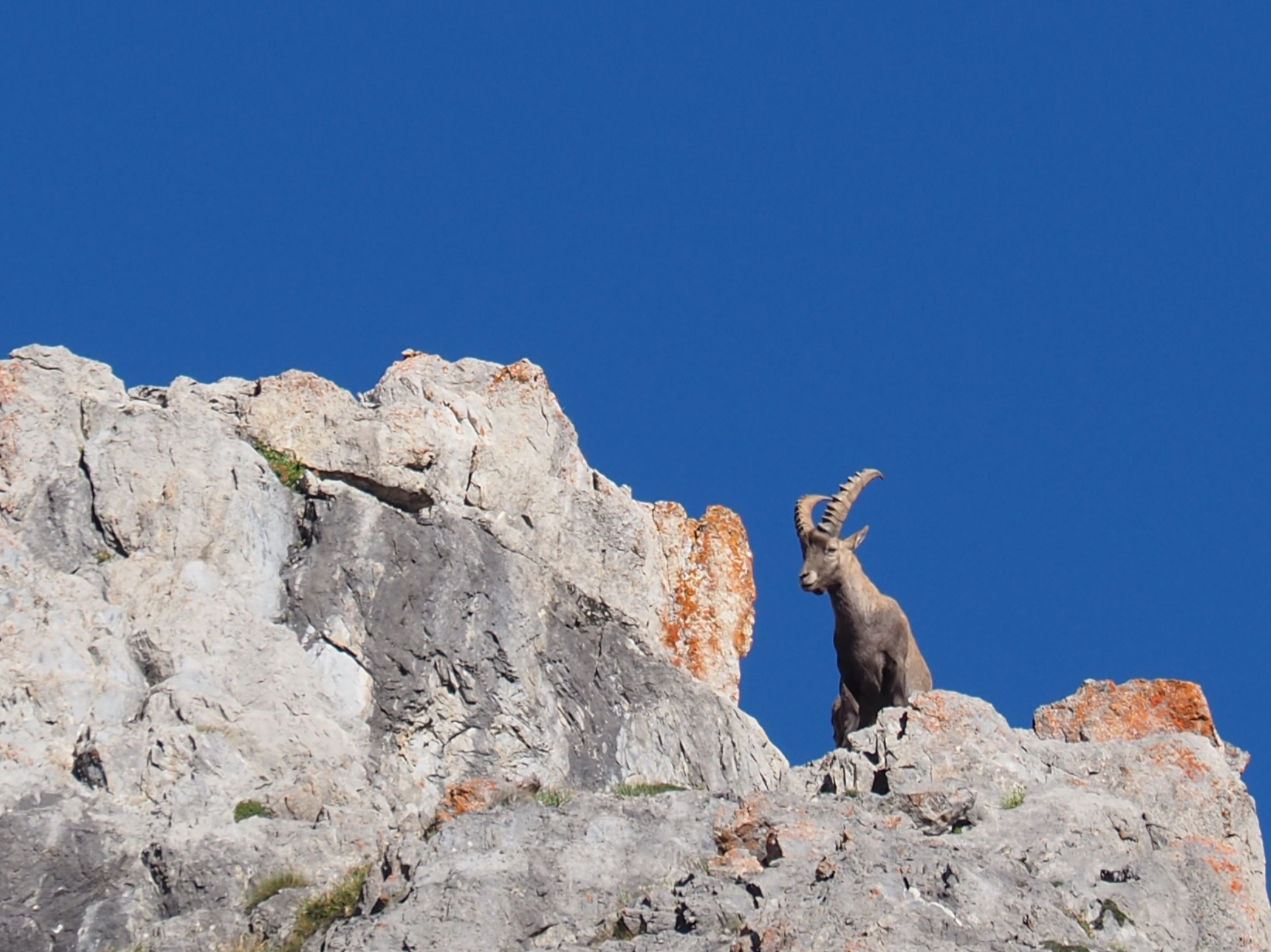 Mehr über den Artikel erfahren 101 Rifugio Fauniera – Vinadio